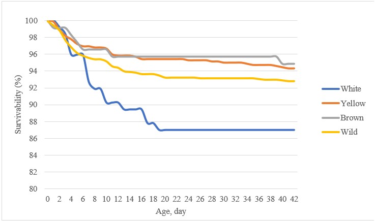 Factors Affecting Survivability in Japanese Quail (Coturnix coturnix japonica)